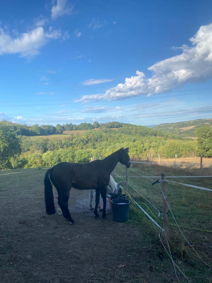 Chez Sophie - Gite Et Gite Equestre Clermont-Dessous Kültér fotó