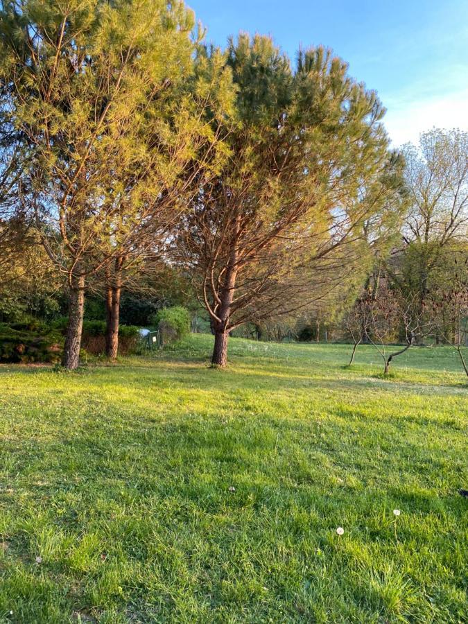 Chez Sophie - Gite Et Gite Equestre Clermont-Dessous Kültér fotó